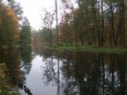 Jesień w Bolimowskim Parku Krajobrazowym